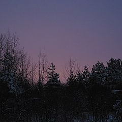 фото "Sunset in Gatineau Park (QC)"