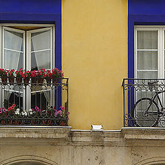 photo "The decorative bicycle"