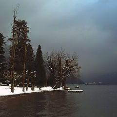 photo "Winter Storm"