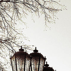 photo "About the street lamp"