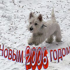 фото "С Новым 2006 Годом"