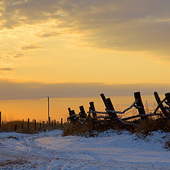 photo "Yellow heaven"