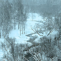photo "Snow in Moscow suburbs"