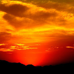 photo "Firey Sunset"