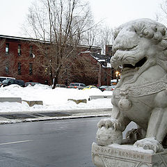 photo "Chinese Lion"