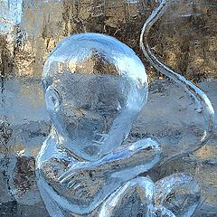 photo "Ice baby"