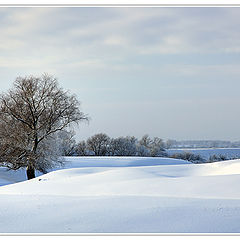 фото "Simply White"