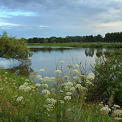 photo "Sacrament Siberian Morning"