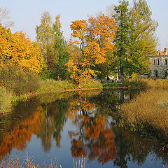 photo "Gold autumn"