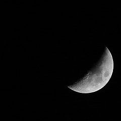 photo "Lua D"