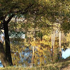 photo "mirror of october"