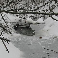 фото "Frozen river (QC)"