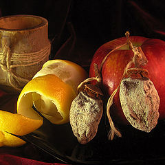 photo "Fruits"