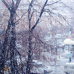 photo "Snowfall"
