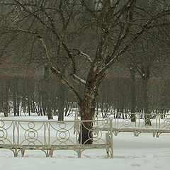 фото "Зимний парк"