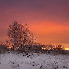 photo "December evening"