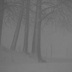 photo "In the winter mist"