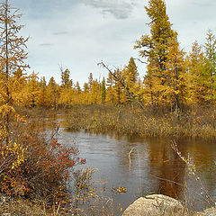 фото "Река"