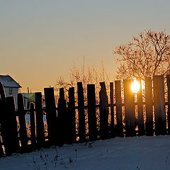 фото "January morning"