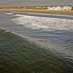 photo "Surfing"