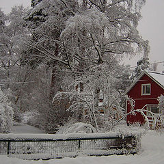 photo "Winter in Finland 2006"