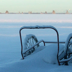 фото "Old milk-cart"