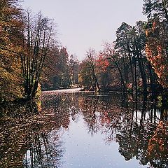 photo "Rhythms of fall"