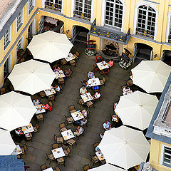 photo "Lunchtime in Dresden"