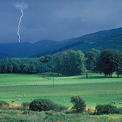 photo "scottish landscape"