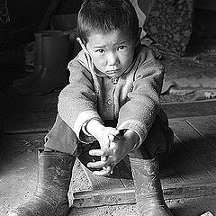 photo "a nenets boy"