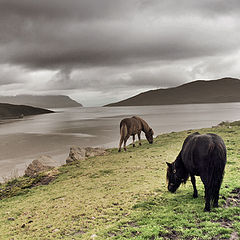 photo "Highlands of Scotland"