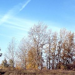 photo "Autumn sky"