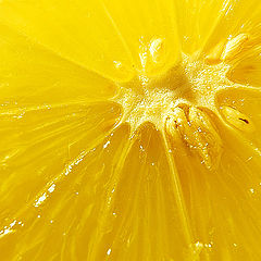photo "Lemon"
