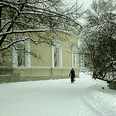 фото "В зимнем парке"