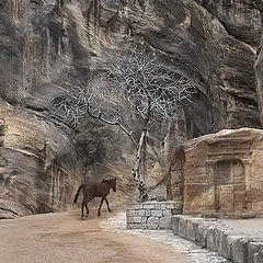 photo "Road in nowhere"