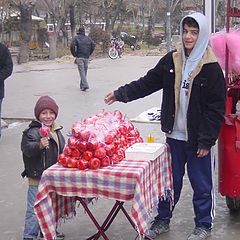 фото "appleshugar"