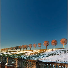 фото "Петергоф.Первый снег."