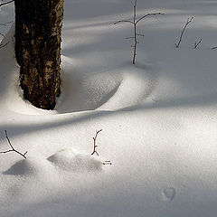 photo "About light and a shadow during the winter period."