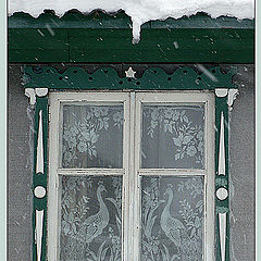 photo "Window with peacocks"