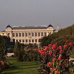 фото "Grande Galerie de l'Evolution"