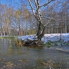 фото "Первый лед"