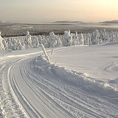 фото "End of the polar night"