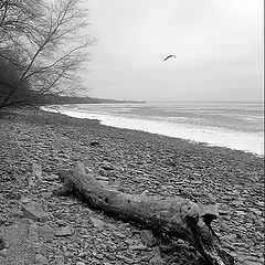 photo "estuary of Mius"