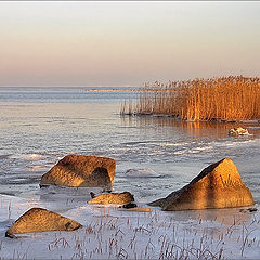 фото "Зимний залив #1"