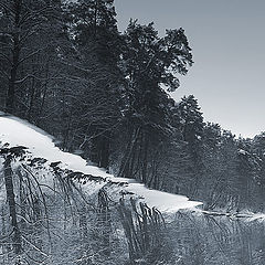 фото "КувырКом"