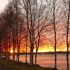photo "Winter cold sunset"