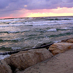 фото "Лохматое море"