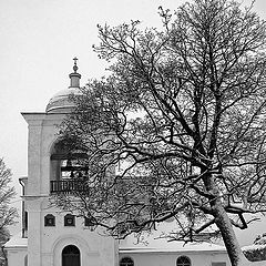 photo "Winter in Izborsk."