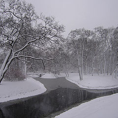 photo "In Taurian to a garden - winter"