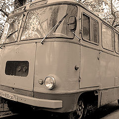 photo "unknown bus"